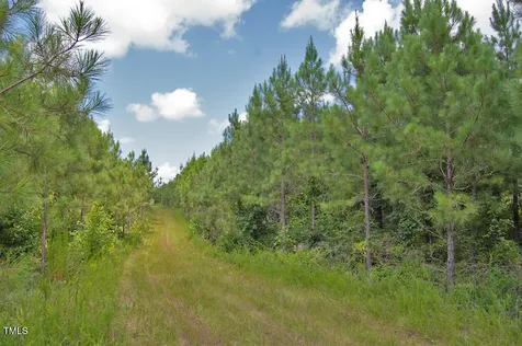 0 Buckhorn Road Bullock NC 27507