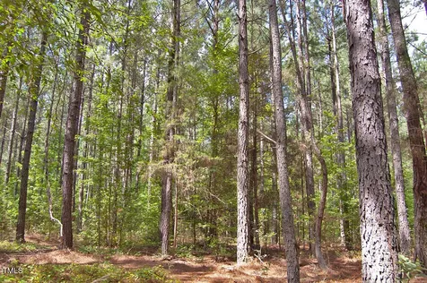 0 Buckhorn Road Bullock NC 27507