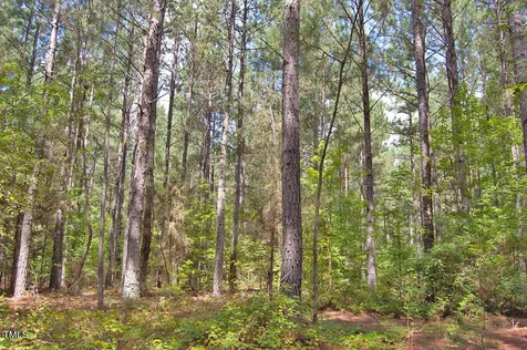 0 Buckhorn Road Bullock NC 27507