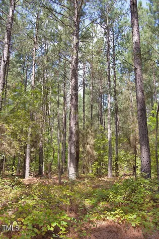 0 Buckhorn Road Bullock NC 27507