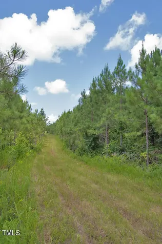 0 Buckhorn Road Bullock NC 27507
