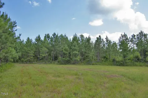 0 Buckhorn Road Bullock NC 27507