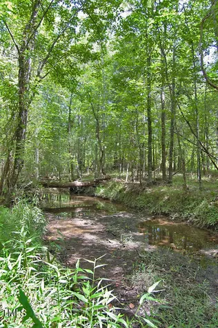 0 Buckhorn Road Bullock NC 27507