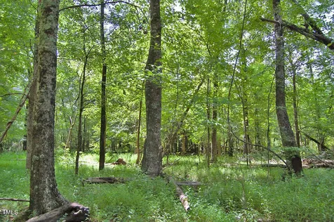 0 Buckhorn Road Bullock NC 27507