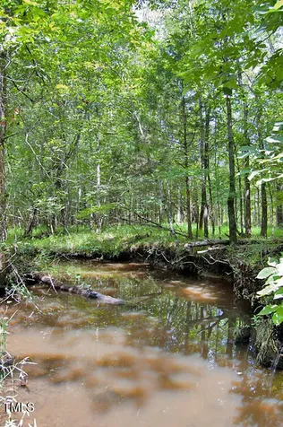 0 Buckhorn Road Bullock NC 27507