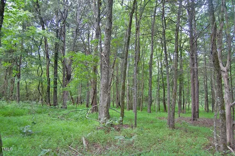0 Buckhorn Road Bullock NC 27507