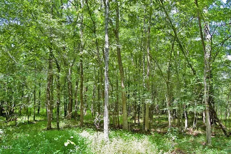 0 Buckhorn Road Bullock NC 27507