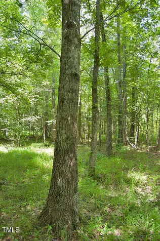 0 Buckhorn Road Bullock NC 27507
