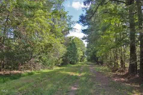 0 Buckhorn Road Bullock NC 27507