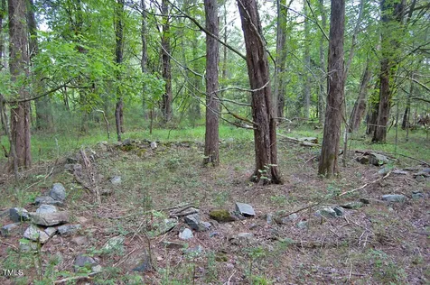 0 Buckhorn Road Bullock NC 27507