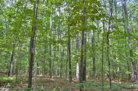 0 Buckhorn Road Bullock NC 27507