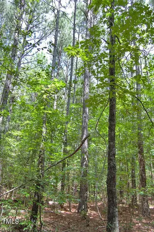 0 Buckhorn Road Bullock NC 27507