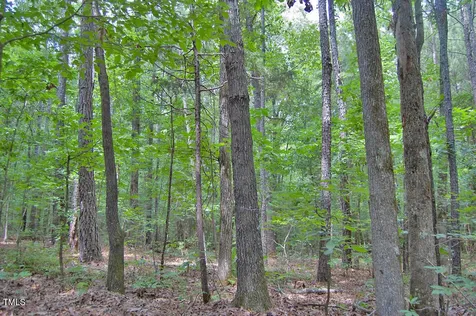 0 Buckhorn Road Bullock NC 27507