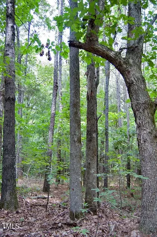 0 Buckhorn Road Bullock NC 27507