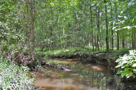 0 Buckhorn Road Bullock NC 27507