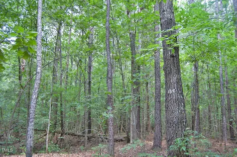 0 Buckhorn Road Bullock NC 27507