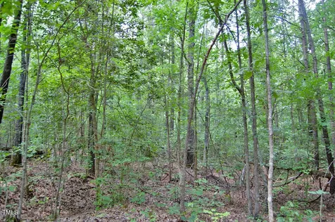0 Buckhorn Road Bullock NC 27507