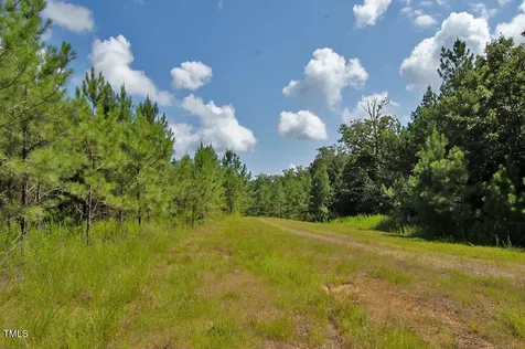 0 Buckhorn Road Bullock NC 27507