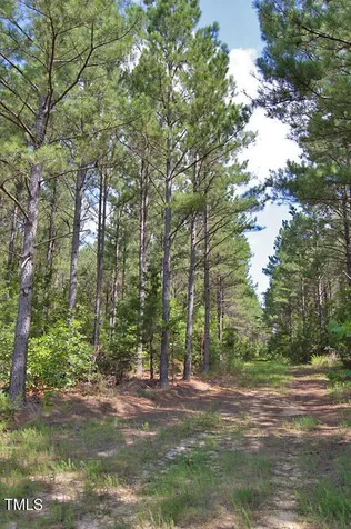0 Buckhorn Road Bullock NC 27507