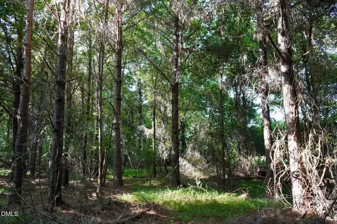 5.3 Acres Timberlake Road Franklinton NC 27525