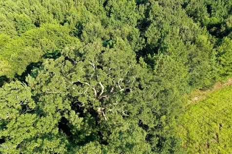 38 Acres Timberlake Road Franklinton NC 27525