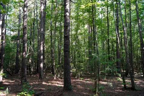 60 Acres Timberlake Road Louisburg NC 27549