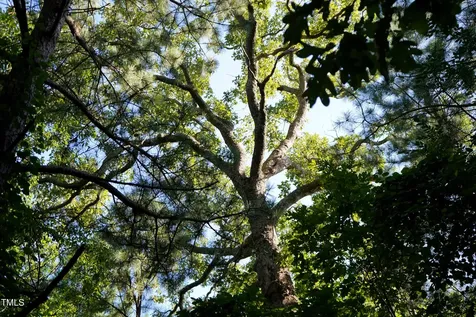 60 Acres Timberlake Road Louisburg NC 27549