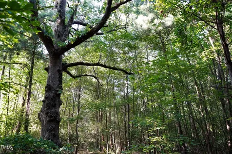 60 Acres Timberlake Road Louisburg NC 27549