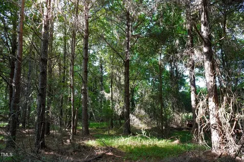 60 Acres Timberlake Road Louisburg NC 27549