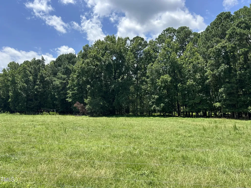 Tract A Frazier Road Spring Hope NC 27882