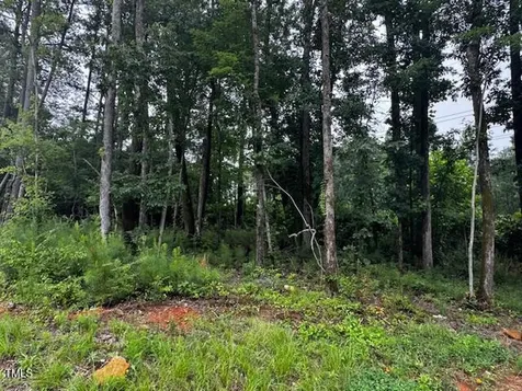 331 Meadow Walk Drive Fuquay Varina NC 27526