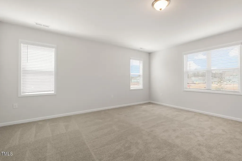 54 East Fire Opal Court Clayton NC 27520