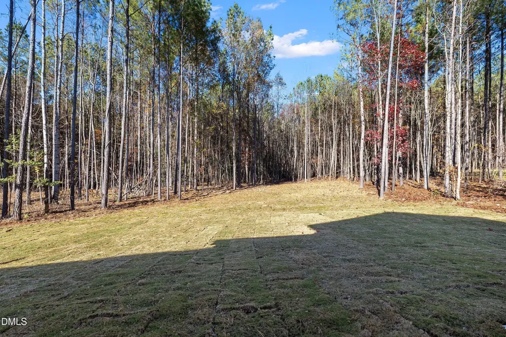 62 W Victoria Ridge Drive Selma NC 27576