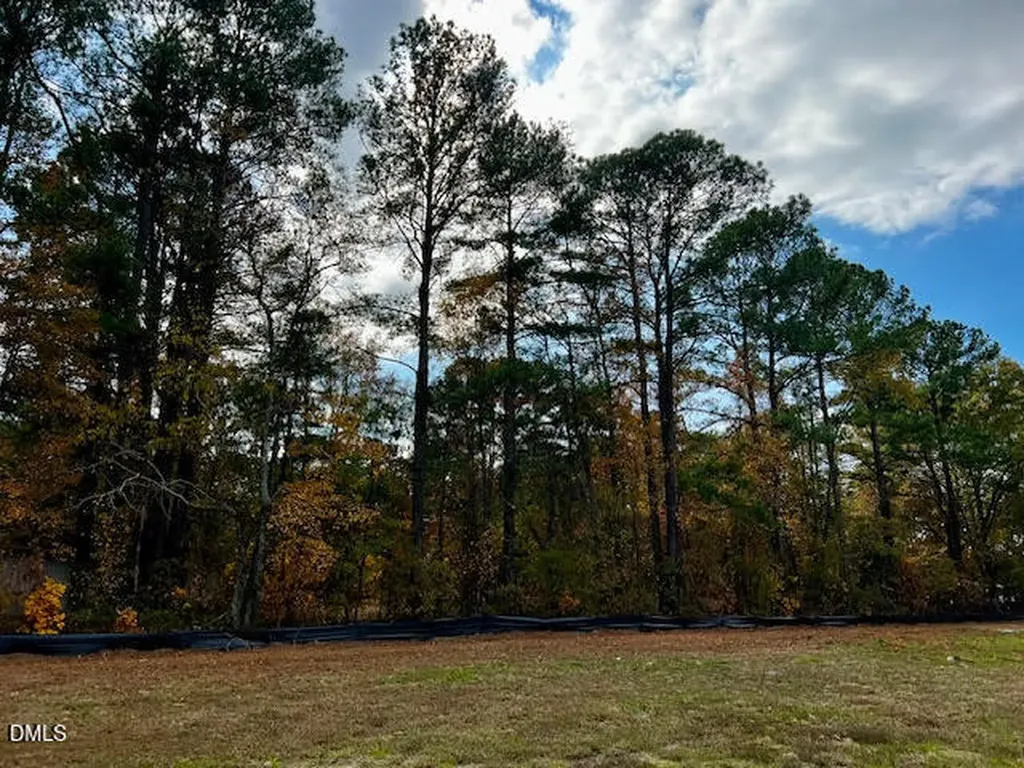 18 Alex Acres Way Selma NC 27576