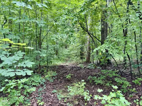 3901 Old Nc 86 Hillsborough NC 27278