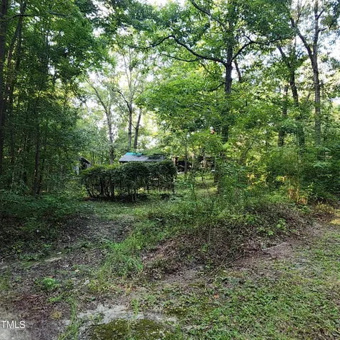 471 Turlington Drive Benson NC 27504