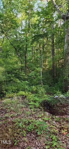 471 Turlington Drive Benson NC 27504