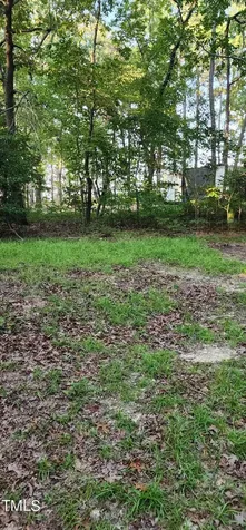 471 Turlington Drive Benson NC 27504