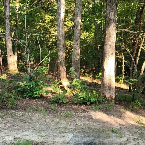 471 Turlington Drive Benson NC 27504