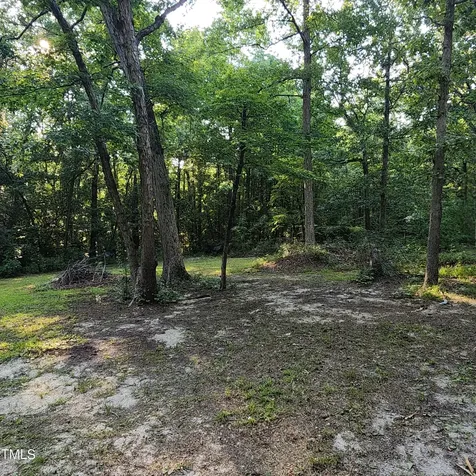 471 Turlington Drive Benson NC 27504