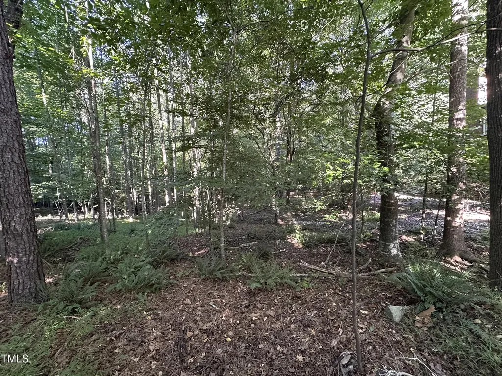 10348 Nash Chapel Hill NC 27517