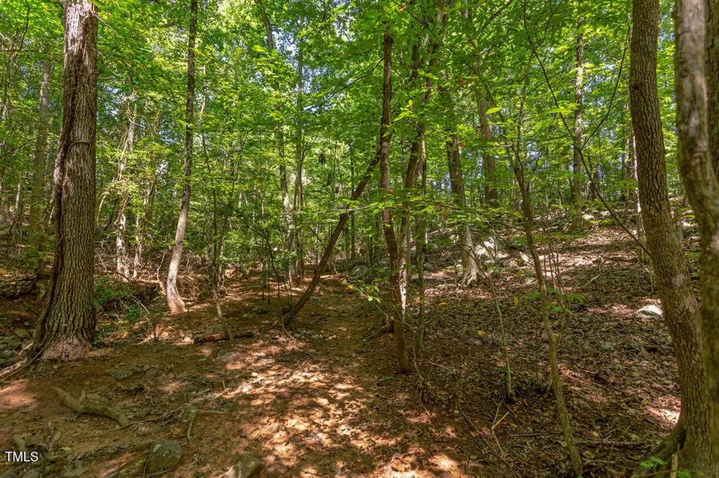 204 Alta Court Chapel Hill NC 27514