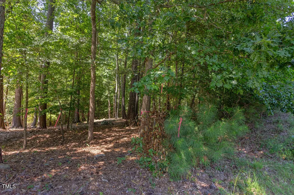 204 Alta Court Chapel Hill NC 27514
