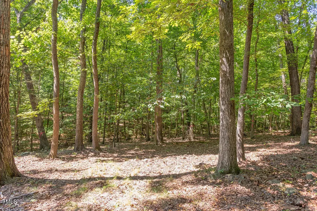 204 Alta Court Chapel Hill NC 27514