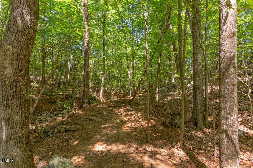 204 Alta Court Chapel Hill NC 27514