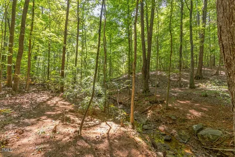 204 Alta Court Chapel Hill NC 27514
