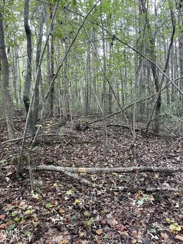 2865 Silk Hope Gum Springs Road Pittsboro NC 27312