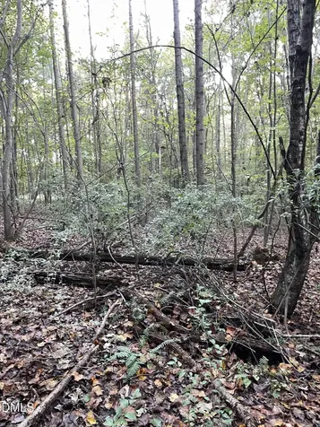 2865 Silk Hope Gum Springs Road Pittsboro NC 27312