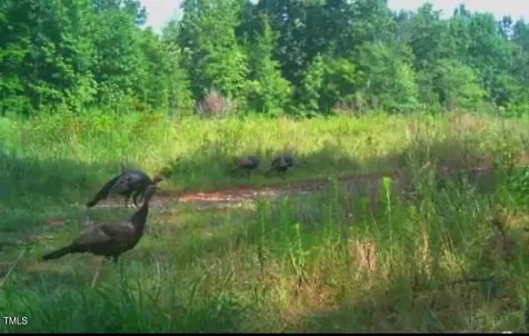 0 Richardson Road Warrenton NC 27589