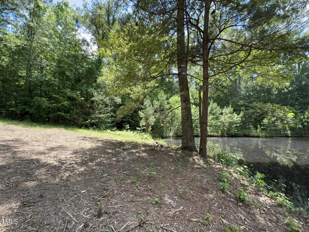 6229 Horse Fly Trail Wake Forest NC 27587